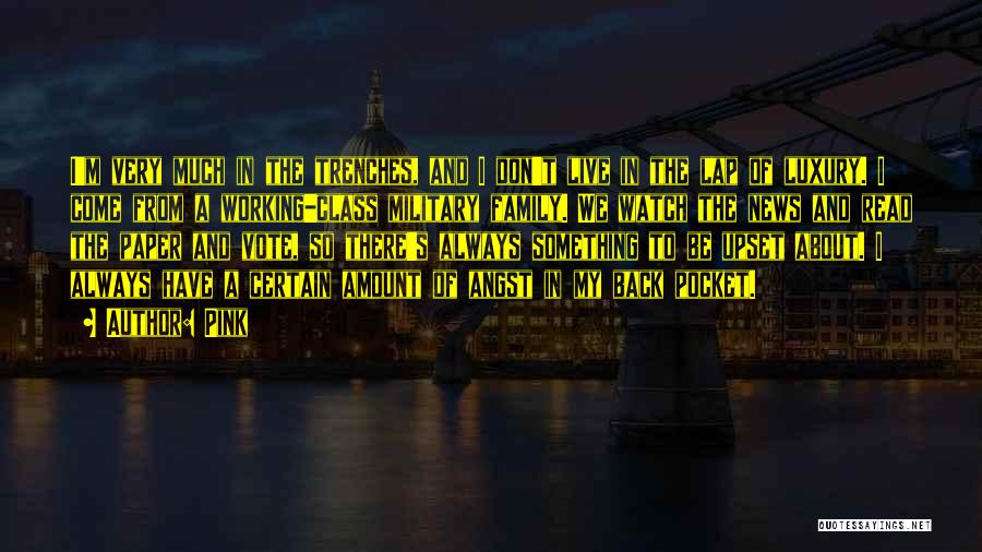 Pink Quotes: I'm Very Much In The Trenches, And I Don't Live In The Lap Of Luxury. I Come From A Working-class