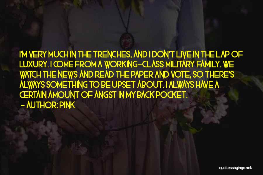 Pink Quotes: I'm Very Much In The Trenches, And I Don't Live In The Lap Of Luxury. I Come From A Working-class
