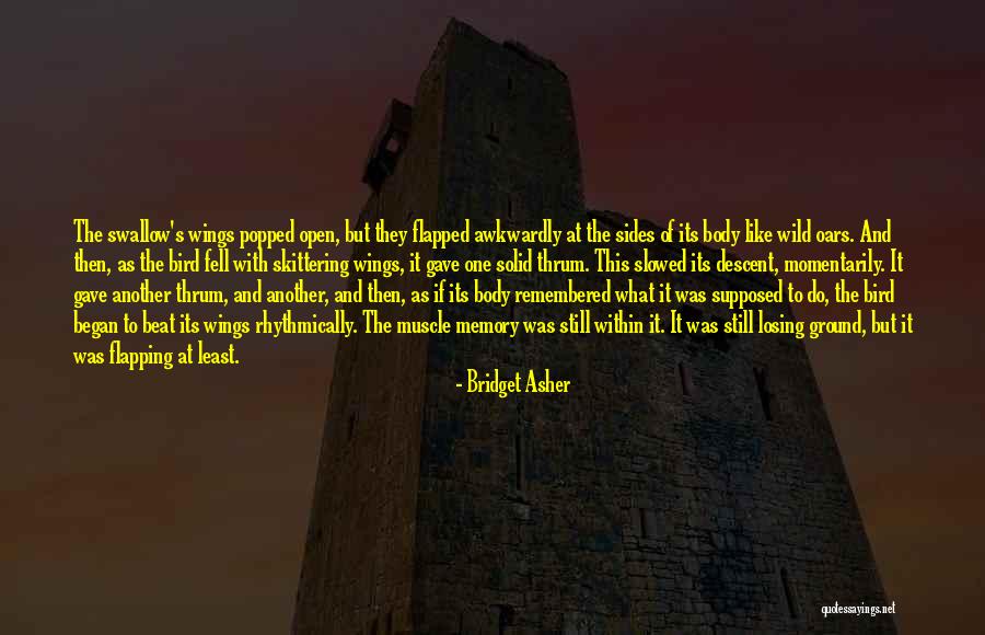 1630 Quotes By Bridget Asher 1630 Quotes By Bridget Asher