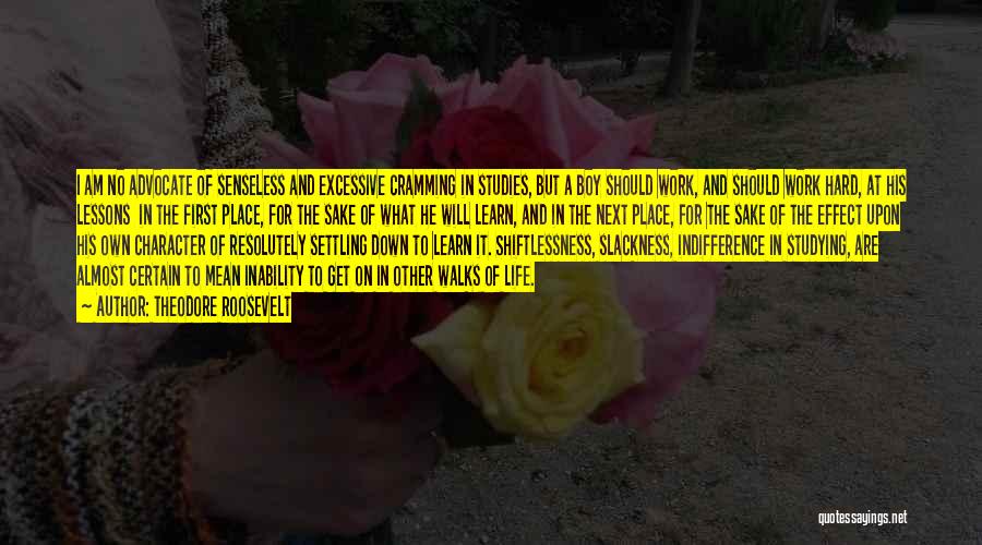 Theodore Roosevelt Quotes: I Am No Advocate Of Senseless And Excessive Cramming In Studies, But A Boy Should Work, And Should Work Hard,