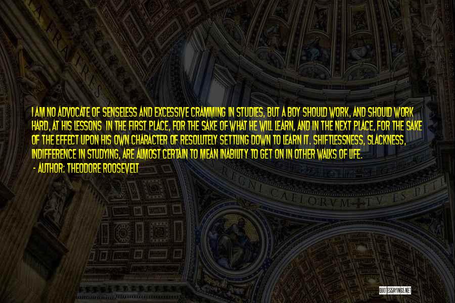 Theodore Roosevelt Quotes: I Am No Advocate Of Senseless And Excessive Cramming In Studies, But A Boy Should Work, And Should Work Hard,