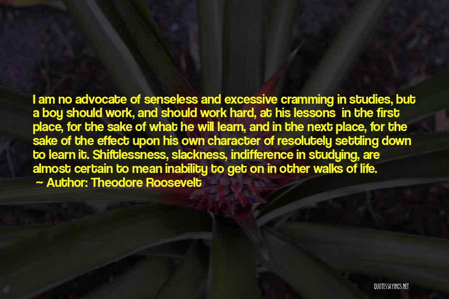 Theodore Roosevelt Quotes: I Am No Advocate Of Senseless And Excessive Cramming In Studies, But A Boy Should Work, And Should Work Hard,