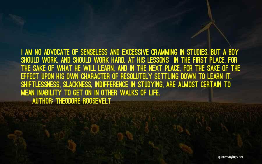 Theodore Roosevelt Quotes: I Am No Advocate Of Senseless And Excessive Cramming In Studies, But A Boy Should Work, And Should Work Hard,