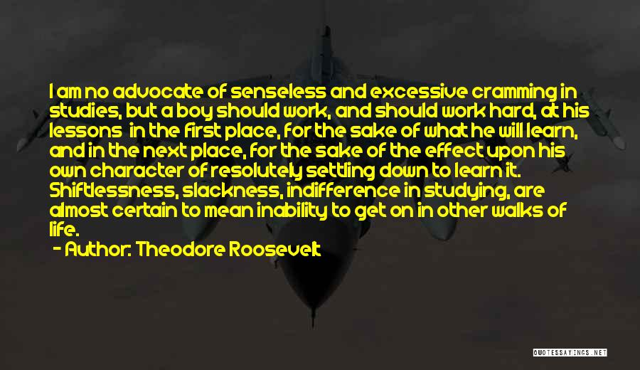 Theodore Roosevelt Quotes: I Am No Advocate Of Senseless And Excessive Cramming In Studies, But A Boy Should Work, And Should Work Hard,