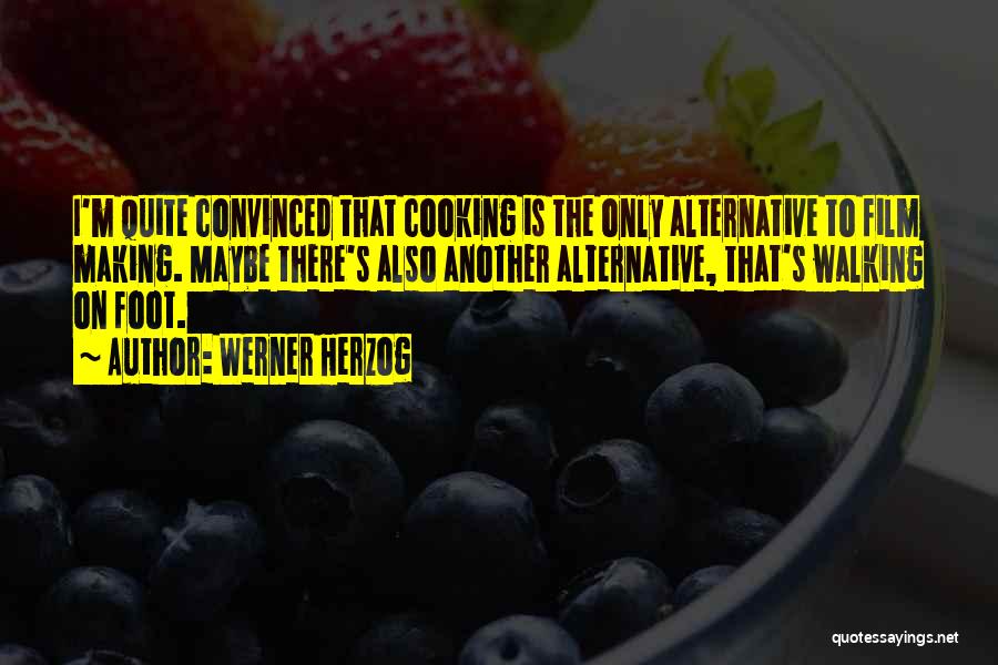 Werner Herzog Quotes: I'm Quite Convinced That Cooking Is The Only Alternative To Film Making. Maybe There's Also Another Alternative, That's Walking On