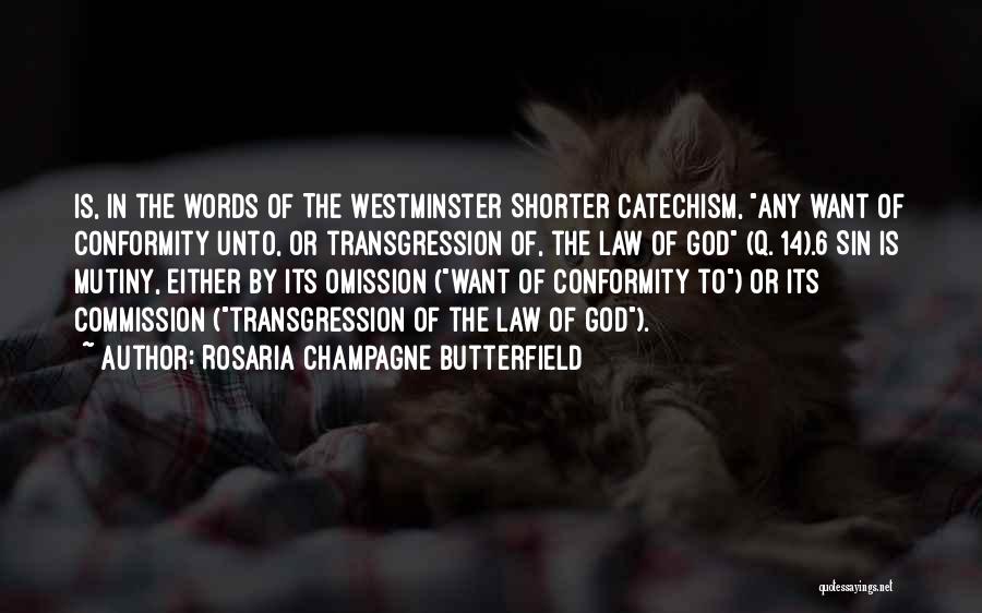 Rosaria Champagne Butterfield Quotes: Is, In The Words Of The Westminster Shorter Catechism, Any Want Of Conformity Unto, Or Transgression Of, The Law Of