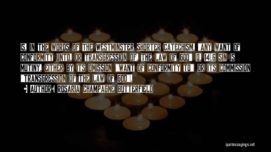 Rosaria Champagne Butterfield Quotes: Is, In The Words Of The Westminster Shorter Catechism, Any Want Of Conformity Unto, Or Transgression Of, The Law Of