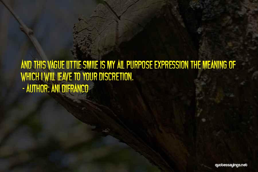Ani DiFranco Quotes: And This Vague Little Smile Is My All Purpose Expression The Meaning Of Which I Will Leave To Your Discretion.