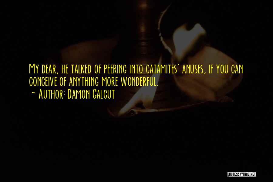 Damon Galgut Quotes: My Dear, He Talked Of Peering Into Catamites' Anuses, If You Can Conceive Of Anything More Wonderful.