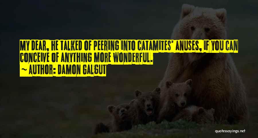 Damon Galgut Quotes: My Dear, He Talked Of Peering Into Catamites' Anuses, If You Can Conceive Of Anything More Wonderful.