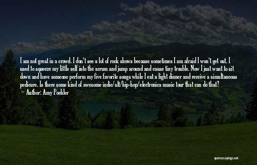 Amy Poehler Quotes: I Am Not Great In A Crowd. I Don't See A Lot Of Rock Shows Because Sometimes I Am Afraid