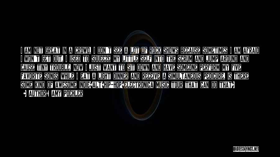 Amy Poehler Quotes: I Am Not Great In A Crowd. I Don't See A Lot Of Rock Shows Because Sometimes I Am Afraid