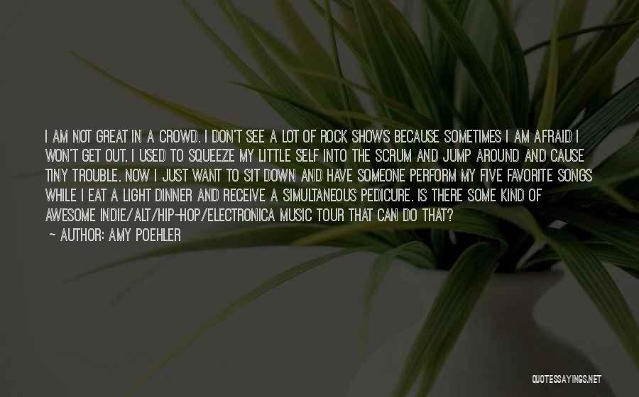 Amy Poehler Quotes: I Am Not Great In A Crowd. I Don't See A Lot Of Rock Shows Because Sometimes I Am Afraid