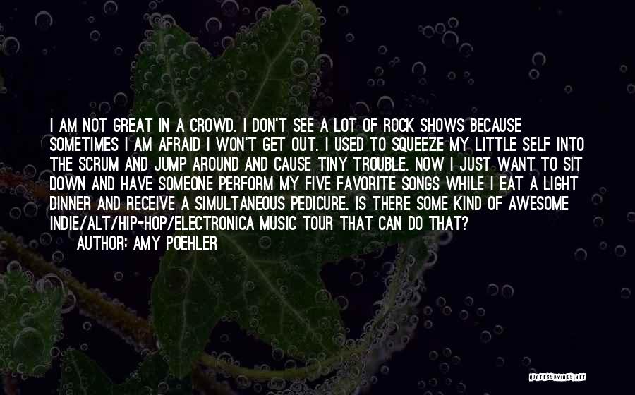 Amy Poehler Quotes: I Am Not Great In A Crowd. I Don't See A Lot Of Rock Shows Because Sometimes I Am Afraid