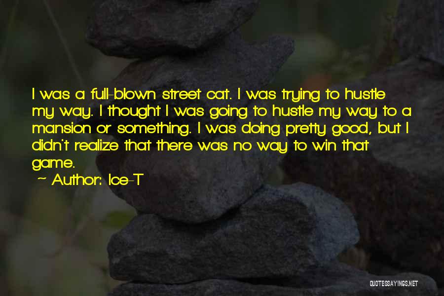 Ice-T Quotes: I Was A Full-blown Street Cat. I Was Trying To Hustle My Way. I Thought I Was Going To Hustle