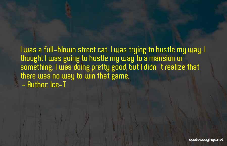 Ice-T Quotes: I Was A Full-blown Street Cat. I Was Trying To Hustle My Way. I Thought I Was Going To Hustle