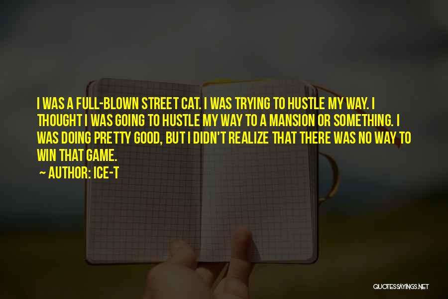 Ice-T Quotes: I Was A Full-blown Street Cat. I Was Trying To Hustle My Way. I Thought I Was Going To Hustle