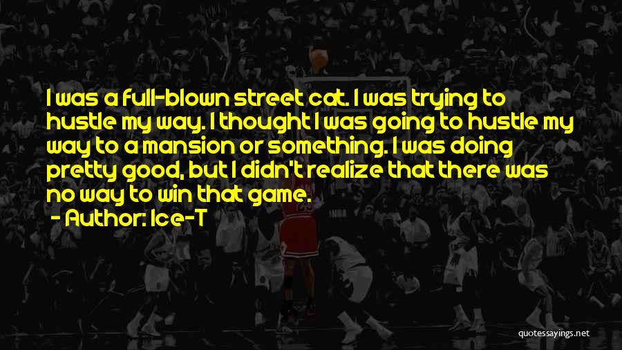 Ice-T Quotes: I Was A Full-blown Street Cat. I Was Trying To Hustle My Way. I Thought I Was Going To Hustle