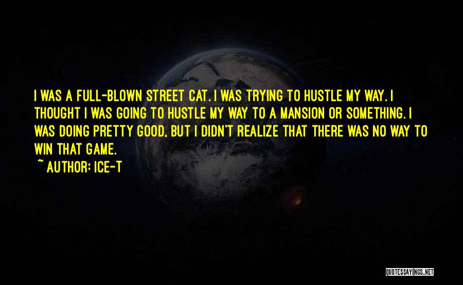 Ice-T Quotes: I Was A Full-blown Street Cat. I Was Trying To Hustle My Way. I Thought I Was Going To Hustle