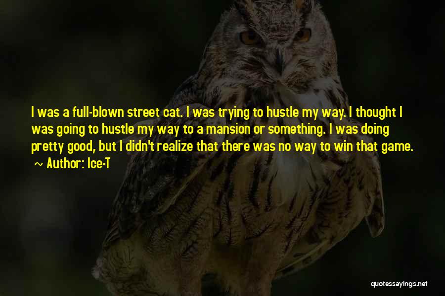 Ice-T Quotes: I Was A Full-blown Street Cat. I Was Trying To Hustle My Way. I Thought I Was Going To Hustle