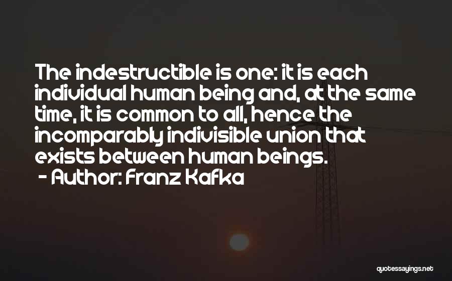 Franz Kafka Quotes: The Indestructible Is One: It Is Each Individual Human Being And, At The Same Time, It Is Common To All,