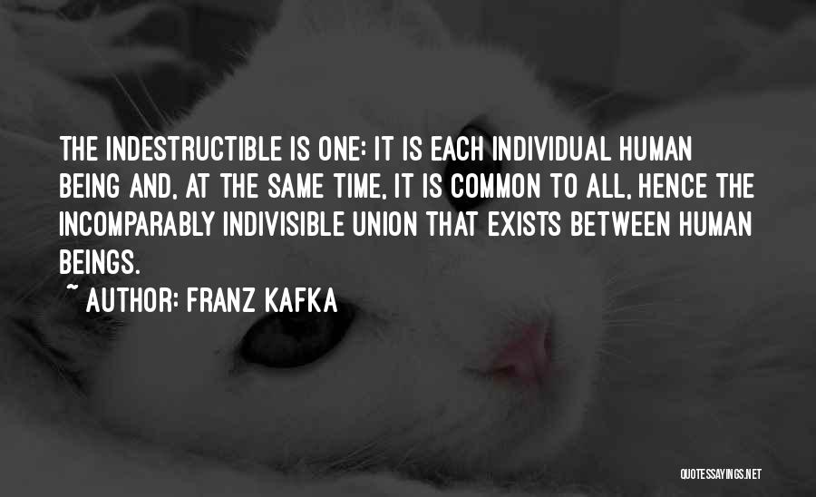 Franz Kafka Quotes: The Indestructible Is One: It Is Each Individual Human Being And, At The Same Time, It Is Common To All,