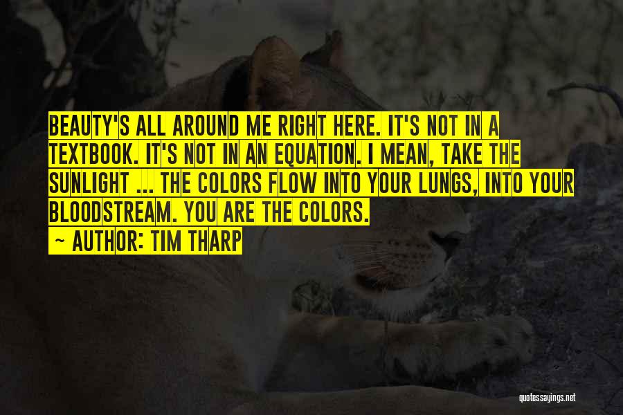 Tim Tharp Quotes: Beauty's All Around Me Right Here. It's Not In A Textbook. It's Not In An Equation. I Mean, Take The