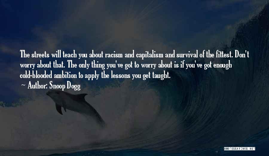 Snoop Dogg Quotes: The Streets Will Teach You About Racism And Capitalism And Survival Of The Fittest. Don't Worry About That. The Only