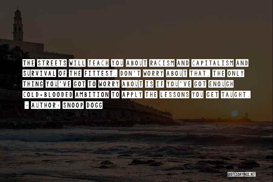 Snoop Dogg Quotes: The Streets Will Teach You About Racism And Capitalism And Survival Of The Fittest. Don't Worry About That. The Only