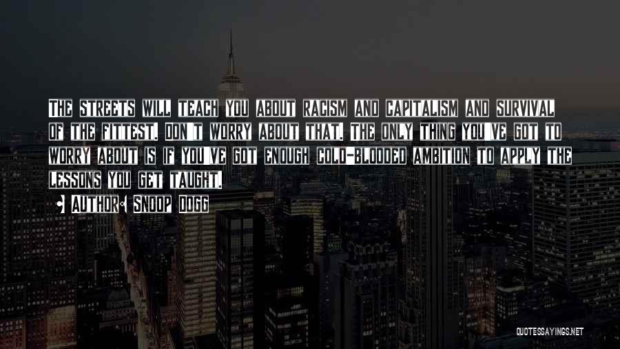 Snoop Dogg Quotes: The Streets Will Teach You About Racism And Capitalism And Survival Of The Fittest. Don't Worry About That. The Only