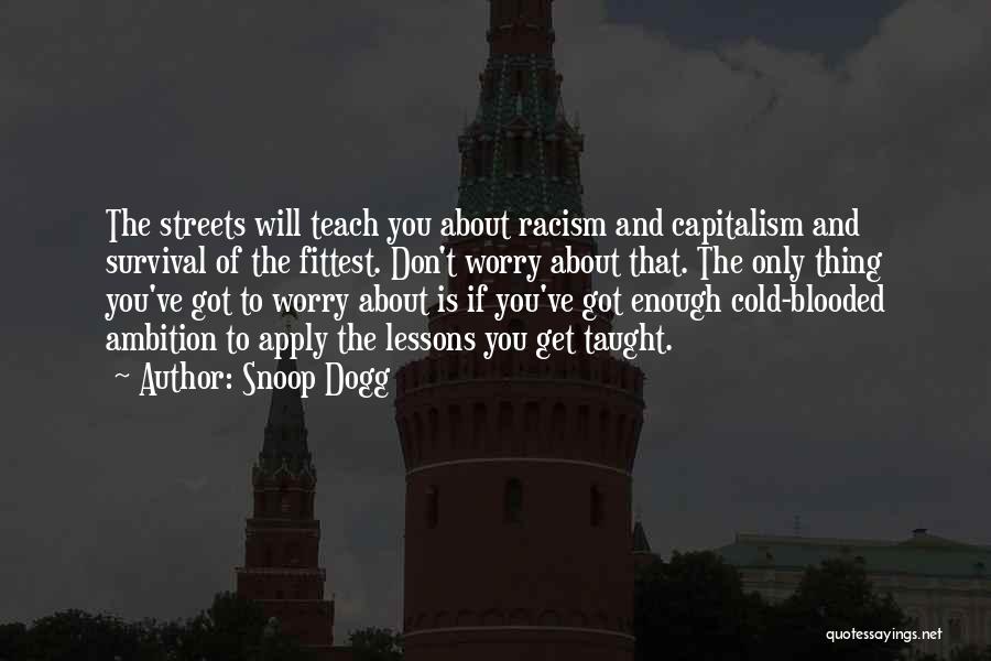 Snoop Dogg Quotes: The Streets Will Teach You About Racism And Capitalism And Survival Of The Fittest. Don't Worry About That. The Only