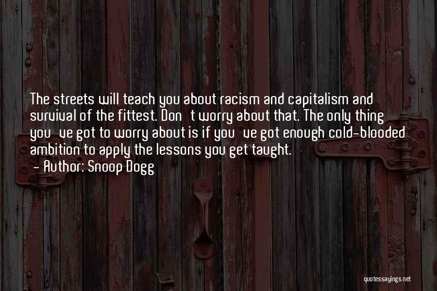 Snoop Dogg Quotes: The Streets Will Teach You About Racism And Capitalism And Survival Of The Fittest. Don't Worry About That. The Only