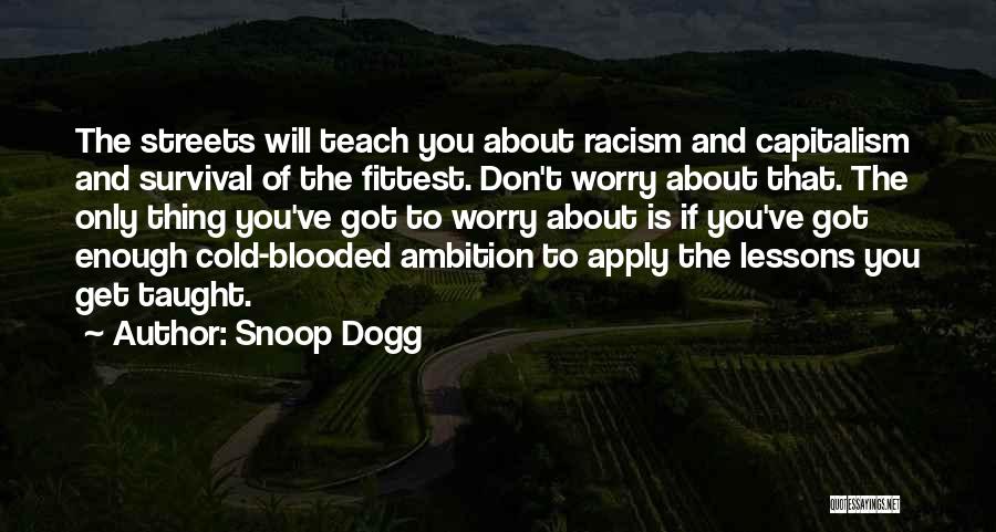 Snoop Dogg Quotes: The Streets Will Teach You About Racism And Capitalism And Survival Of The Fittest. Don't Worry About That. The Only