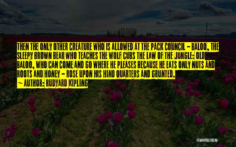 Rudyard Kipling Quotes: Then The Only Other Creature Who Is Allowed At The Pack Council - Baloo, The Sleepy Brown Bear Who Teaches