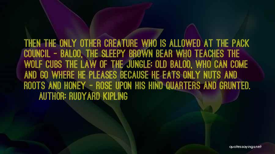 Rudyard Kipling Quotes: Then The Only Other Creature Who Is Allowed At The Pack Council - Baloo, The Sleepy Brown Bear Who Teaches