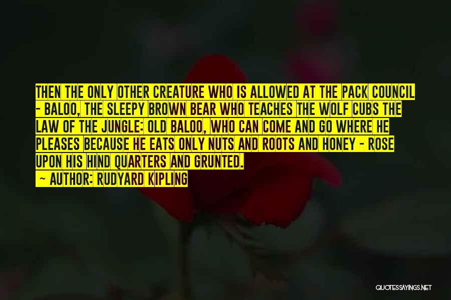 Rudyard Kipling Quotes: Then The Only Other Creature Who Is Allowed At The Pack Council - Baloo, The Sleepy Brown Bear Who Teaches