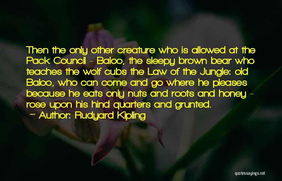Rudyard Kipling Quotes: Then The Only Other Creature Who Is Allowed At The Pack Council - Baloo, The Sleepy Brown Bear Who Teaches