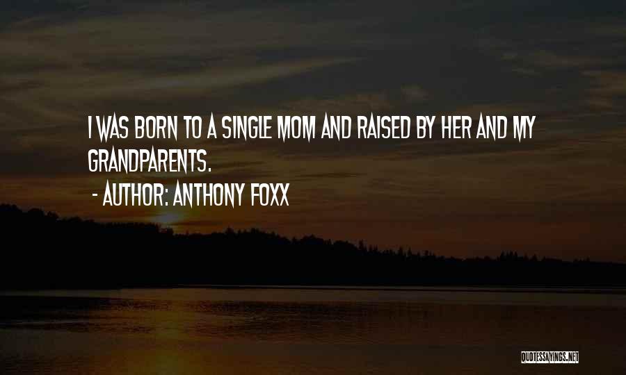 Anthony Foxx Quotes: I Was Born To A Single Mom And Raised By Her And My Grandparents.