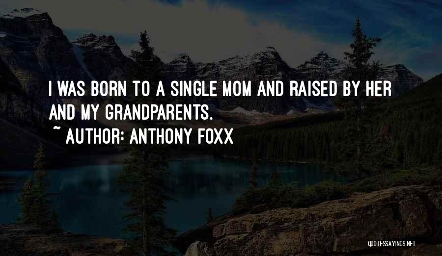 Anthony Foxx Quotes: I Was Born To A Single Mom And Raised By Her And My Grandparents.