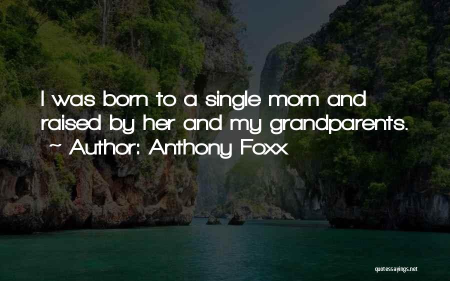 Anthony Foxx Quotes: I Was Born To A Single Mom And Raised By Her And My Grandparents.