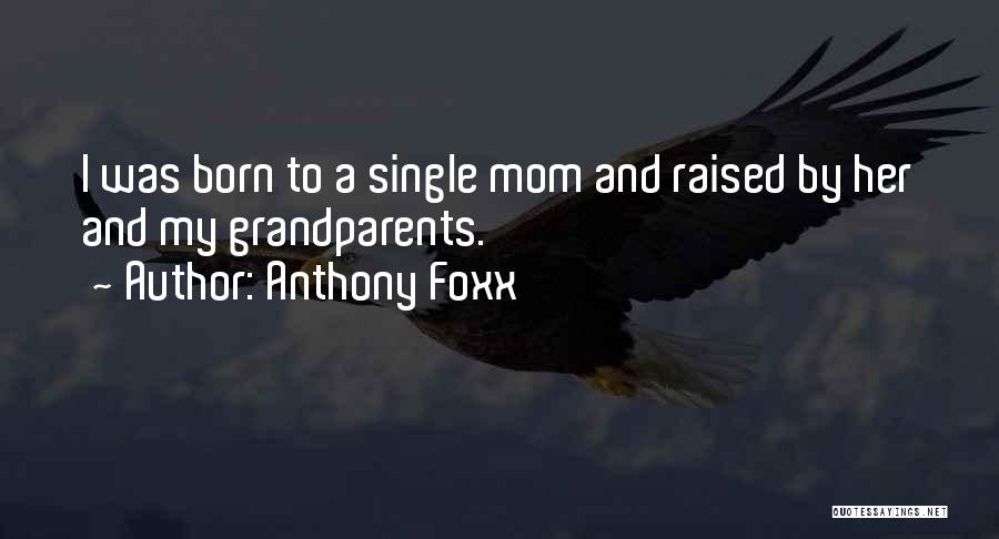 Anthony Foxx Quotes: I Was Born To A Single Mom And Raised By Her And My Grandparents.