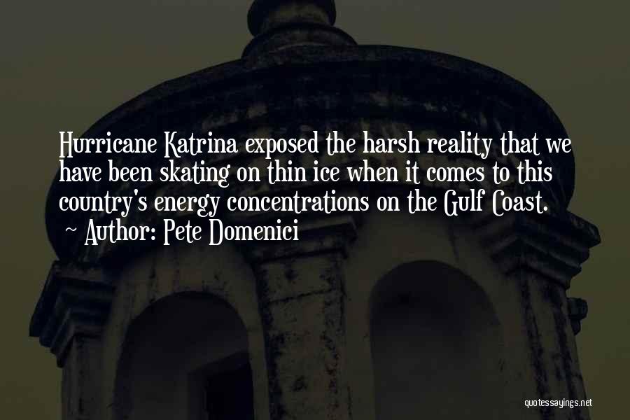 Pete Domenici Quotes: Hurricane Katrina Exposed The Harsh Reality That We Have Been Skating On Thin Ice When It Comes To This Country's