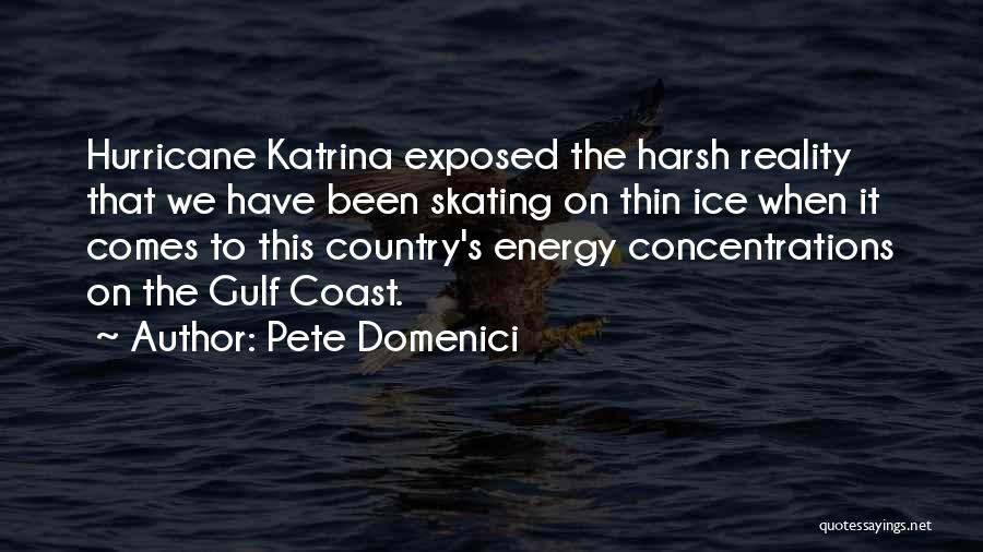 Pete Domenici Quotes: Hurricane Katrina Exposed The Harsh Reality That We Have Been Skating On Thin Ice When It Comes To This Country's