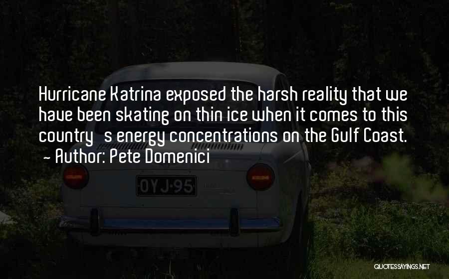 Pete Domenici Quotes: Hurricane Katrina Exposed The Harsh Reality That We Have Been Skating On Thin Ice When It Comes To This Country's