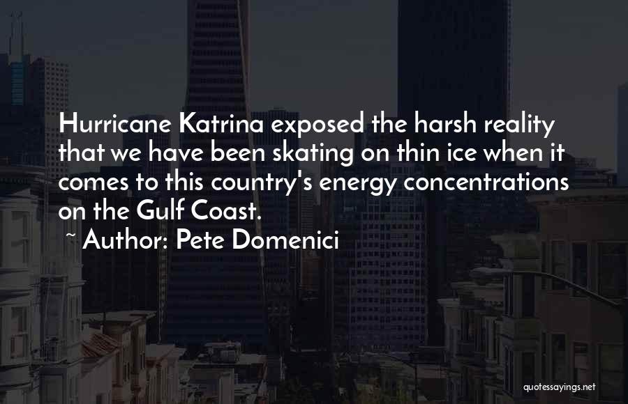 Pete Domenici Quotes: Hurricane Katrina Exposed The Harsh Reality That We Have Been Skating On Thin Ice When It Comes To This Country's