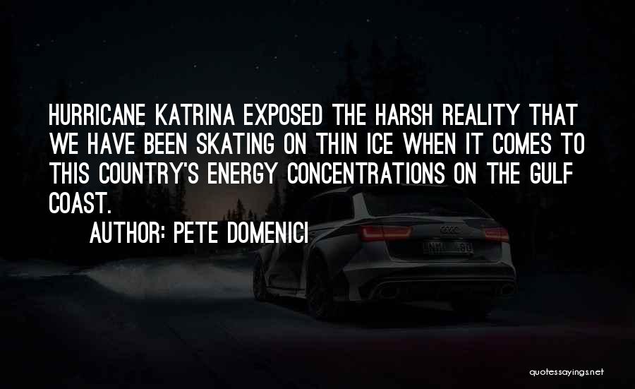 Pete Domenici Quotes: Hurricane Katrina Exposed The Harsh Reality That We Have Been Skating On Thin Ice When It Comes To This Country's