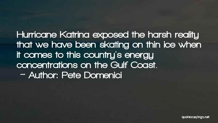 Pete Domenici Quotes: Hurricane Katrina Exposed The Harsh Reality That We Have Been Skating On Thin Ice When It Comes To This Country's