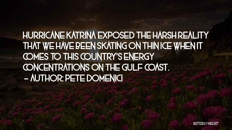 Pete Domenici Quotes: Hurricane Katrina Exposed The Harsh Reality That We Have Been Skating On Thin Ice When It Comes To This Country's