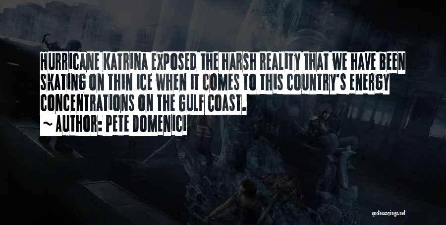 Pete Domenici Quotes: Hurricane Katrina Exposed The Harsh Reality That We Have Been Skating On Thin Ice When It Comes To This Country's