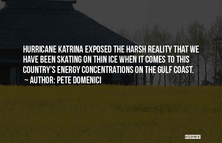 Pete Domenici Quotes: Hurricane Katrina Exposed The Harsh Reality That We Have Been Skating On Thin Ice When It Comes To This Country's